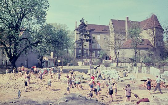 Aufbau des Zoos in den 60er Jahren