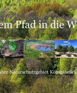 Naturkundlicher Vortrag: „Auf dem Pfad in die Wildnis – 25 Jahre NSG Königsbrücker Heide“