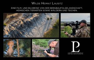 „Wilde Heimat Lausitz“ Fotos
