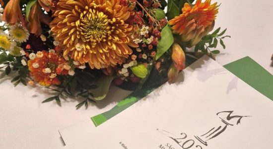 Urkunde Sächsischer Museumspreis